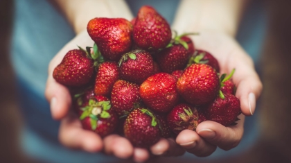 Photo Blockchain in food tracking