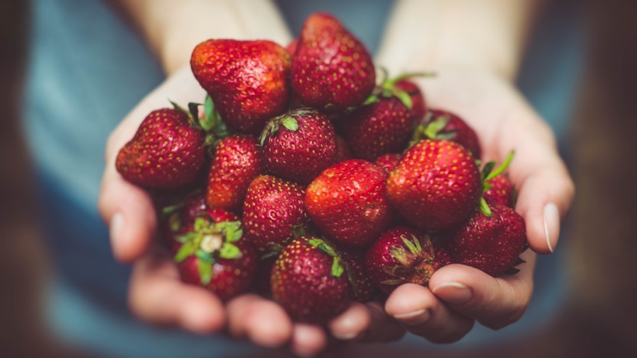 Photo Blockchain in food tracking