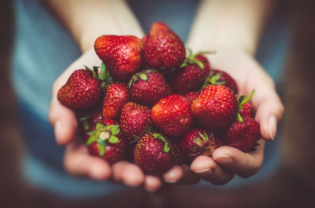 Photo Blockchain in food tracking