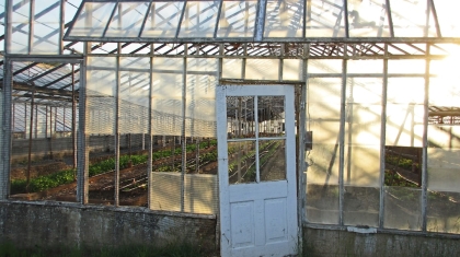 Photo Vertical greenhouse