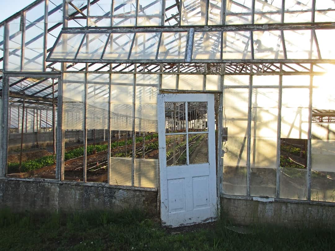 Photo Vertical greenhouse