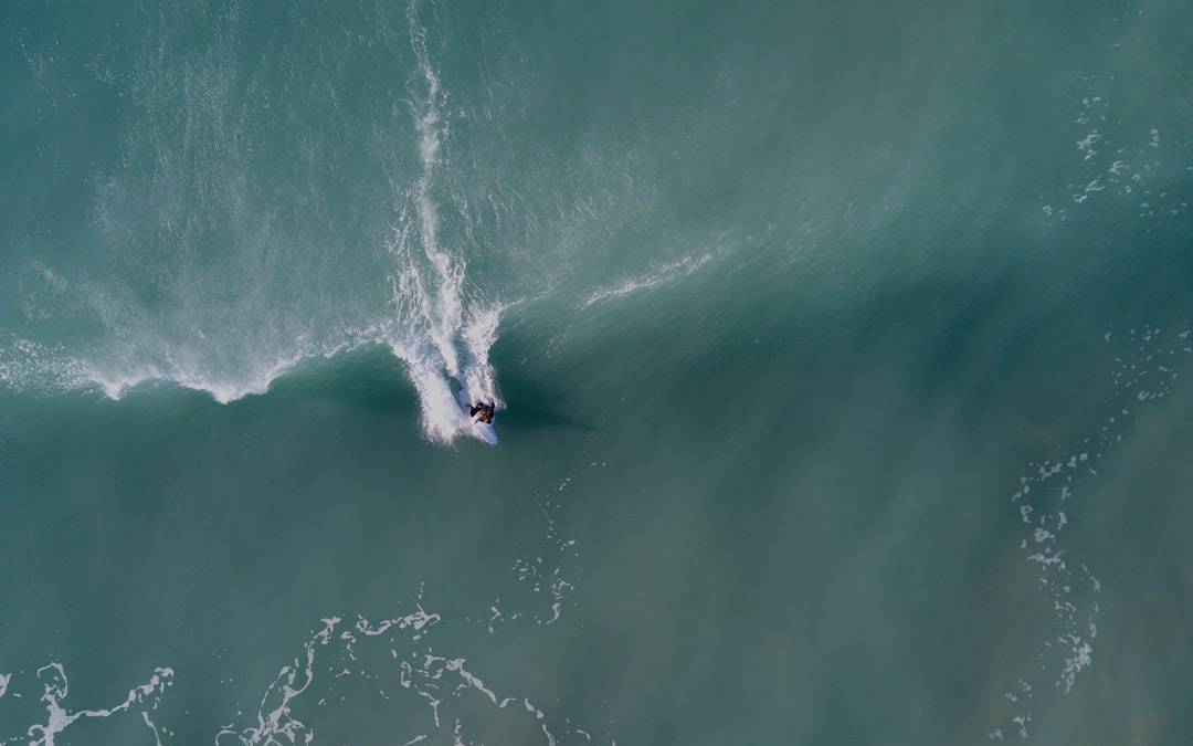 Photo Aerial seeding