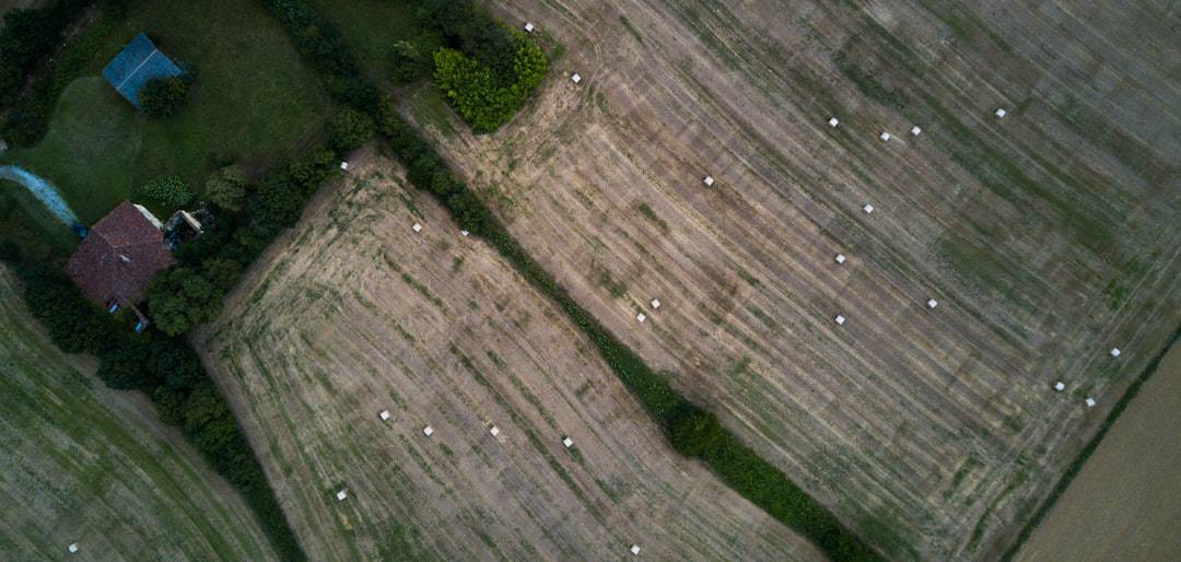 Photo Agricultural drone