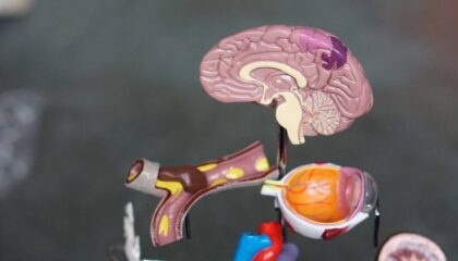 Photo Brain-inspired circuitry