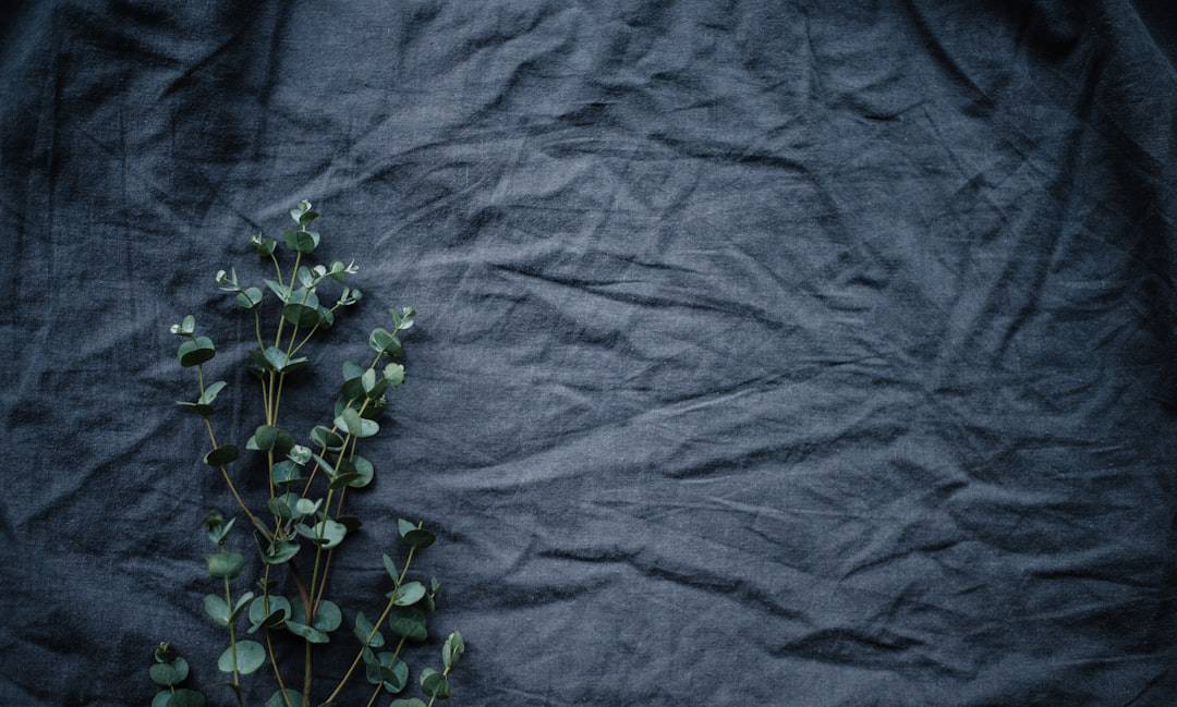 Photo Eco-friendly fabric