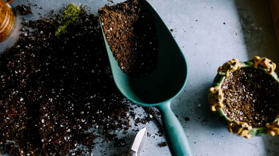 Photo AI-controlled hydroponic garden