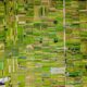 Photo Aerial reforestation