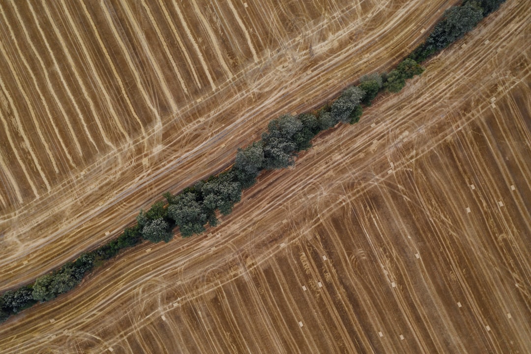 Photo Agricultural drone
