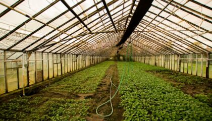 Photo Smart watering system