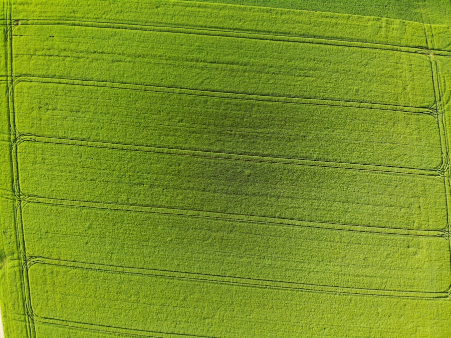image 417