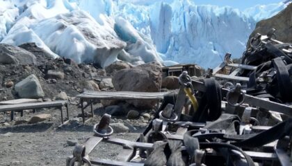 Photo "The Role of AI in Enhancing Physics Simulations for Realistic Gameplay"