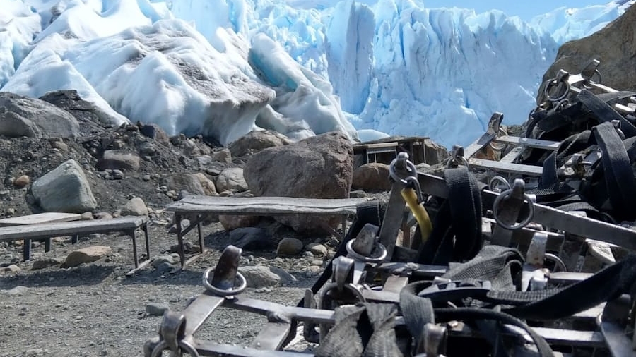Photo "The Role of AI in Enhancing Physics Simulations for Realistic Gameplay"