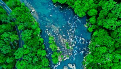 Photo The Role of AI in Reducing Industrial Water Pollution
