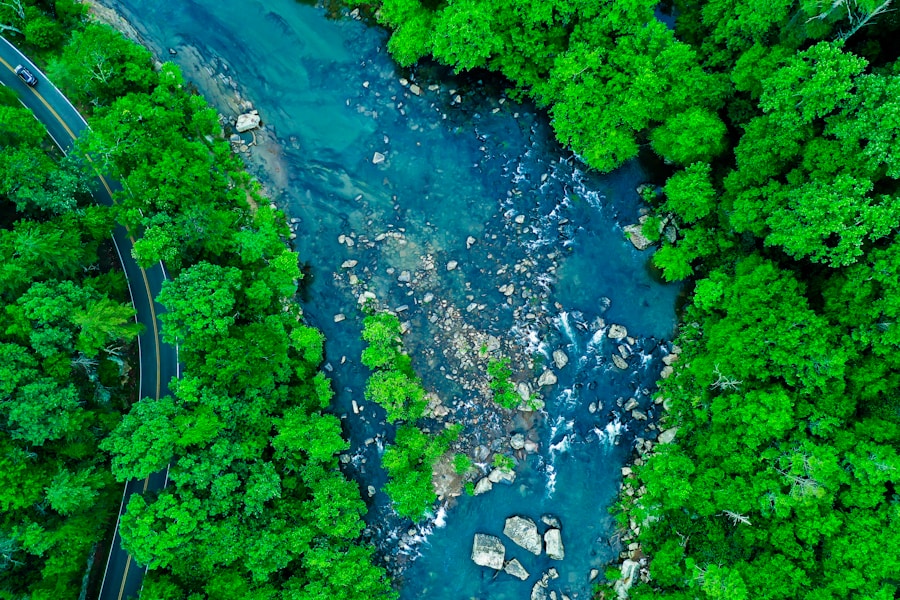 Photo The Role of AI in Reducing Industrial Water Pollution