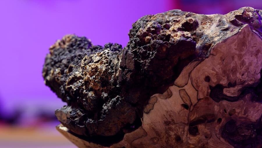 Photo How AI-Powered 3D Mapping Is Enhancing Asteroid Mining Operations