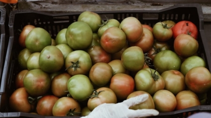 Photo "How AI Is Helping Reduce Food Waste Through Smart Inventory"