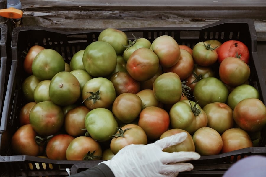 Photo "How AI Is Helping Reduce Food Waste Through Smart Inventory"