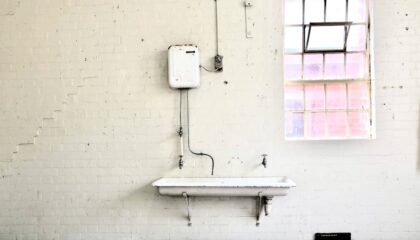 Photo "The Future of AI-Powered Smart Showers for Water Conservation"