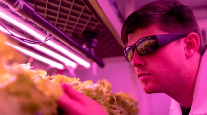Photo "The Future of AI-Enabled Vertical Farming for Urban Food Production"