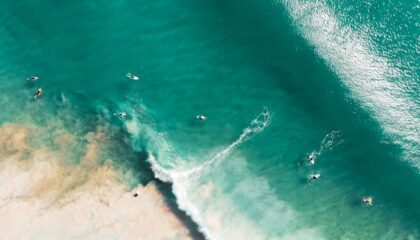 Photo "How AI and Satellite Technology Are Monitoring Ocean Health"
