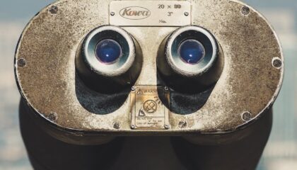Photo "The Future of AI in Evaluating Employee Performance Metrics"