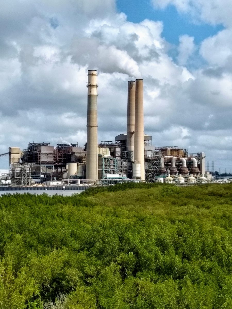 Photo How AI-Driven Carbon Capture Technologies Are Fighting Climate Change