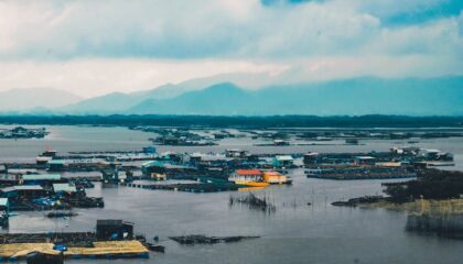 Photo "How AI-Powered Forecasting Models Are Assisting in Climate Resilience Planning"