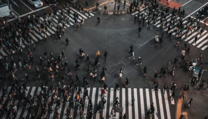 Photo How AI Is Augmenting Human Decision-Making in Crisis Scenarios