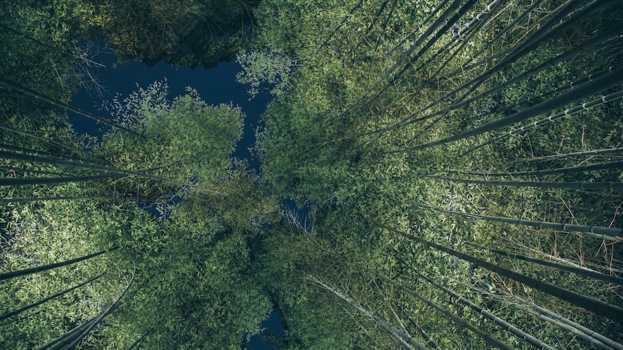 Photo "The Future of AI in Restoring Biodiversity and Ecosystems"