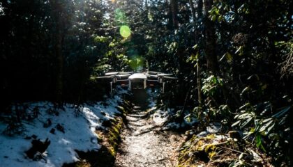 Photo How AI-Powered Autonomous Systems Are Navigating Complex Terrains