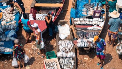 Photo "The Role of AI in Scaling Humanitarian Aid Distribution"