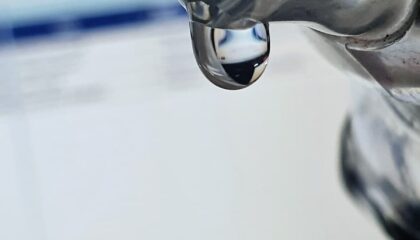 Photo How AI and IoT Are Improving Home Water Purification Systems
