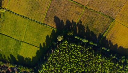 Photo "How AI-Driven Remote Sensing Is Improving Environmental Conservation"