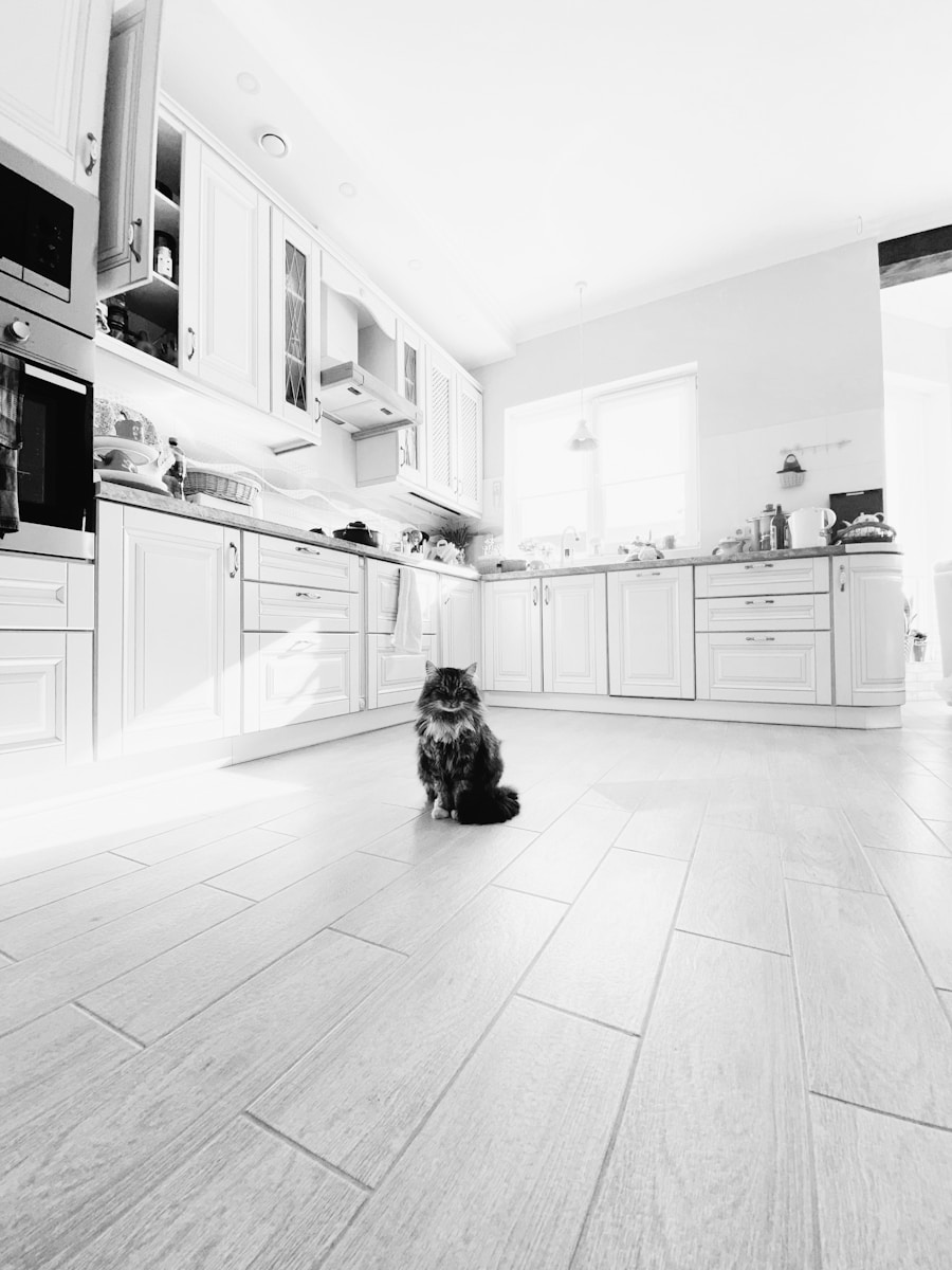 Photo "How Smart Homes Are Using AI to Improve Indoor Navigation for the Visually Impaired"