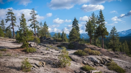 Photo "The Role of AI in Creating Hyper-Realistic Game Environments"