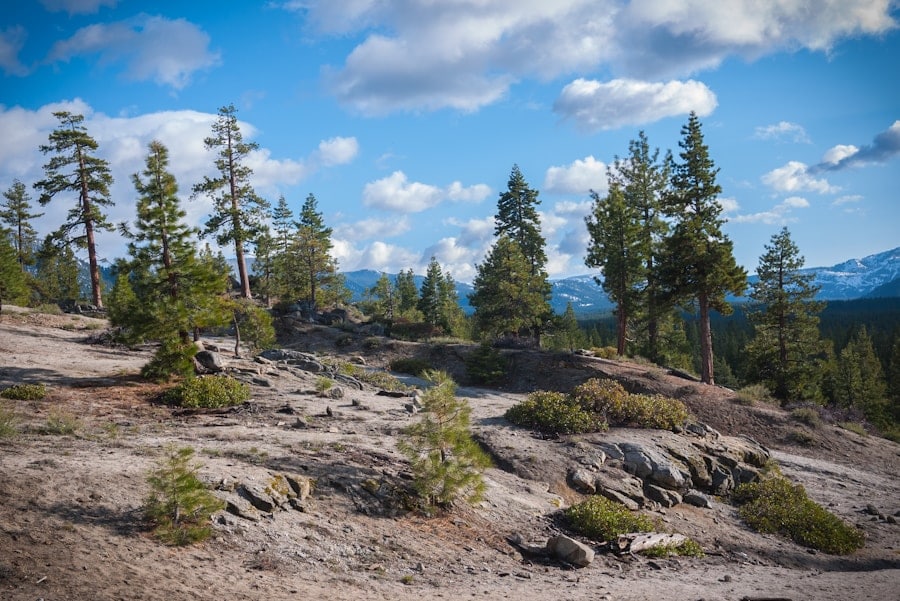 Photo "The Role of AI in Creating Hyper-Realistic Game Environments"