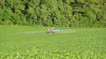 Photo "How AI-Powered Smart Agriculture Is Reducing Overuse of Pesticides"
