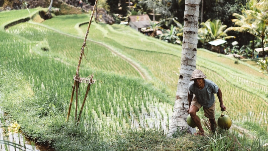 Photo Smart Farming