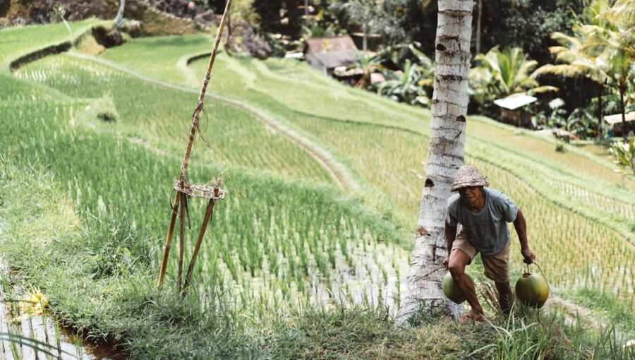 Photo Smart Farming