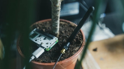 Photo "The Future of AI-Powered Smart Gardens for Automated Plant Care"