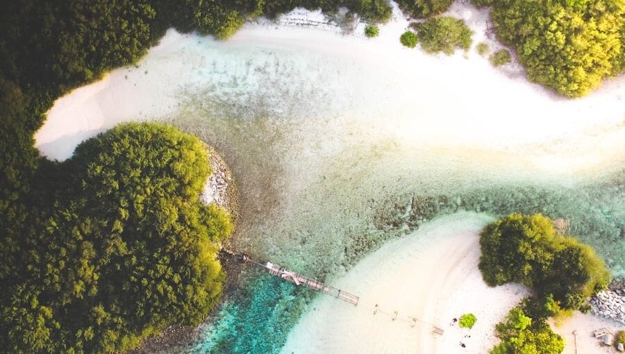Photo "The Future of AI in Supporting Ethical and Sustainable Tourism"