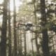 Photo "How Drones Are Monitoring Illegal Logging in Forest Regions"