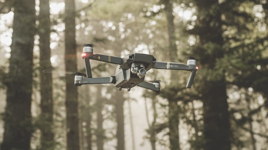 Photo "How Drones Are Monitoring Illegal Logging in Forest Regions"