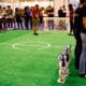 Photo "How Reinforcement Learning Is Transforming Robotics"