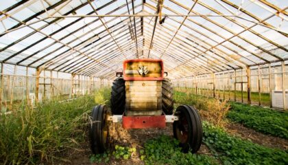 Photo "The Future of Autonomous Farming Pods for Crop Cultivation"