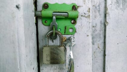 Photo "How to Protect Your Personal Data Using Encryption Tools"