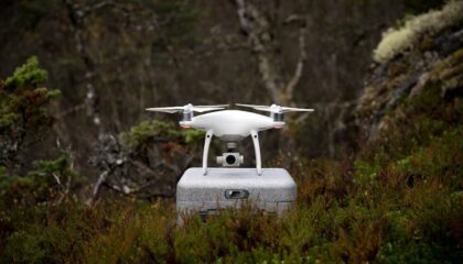 Photo "How Drones Are Helping Track and Relocate Endangered Species"