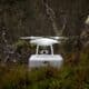 Photo "How Drones Are Helping Track and Relocate Endangered Species"