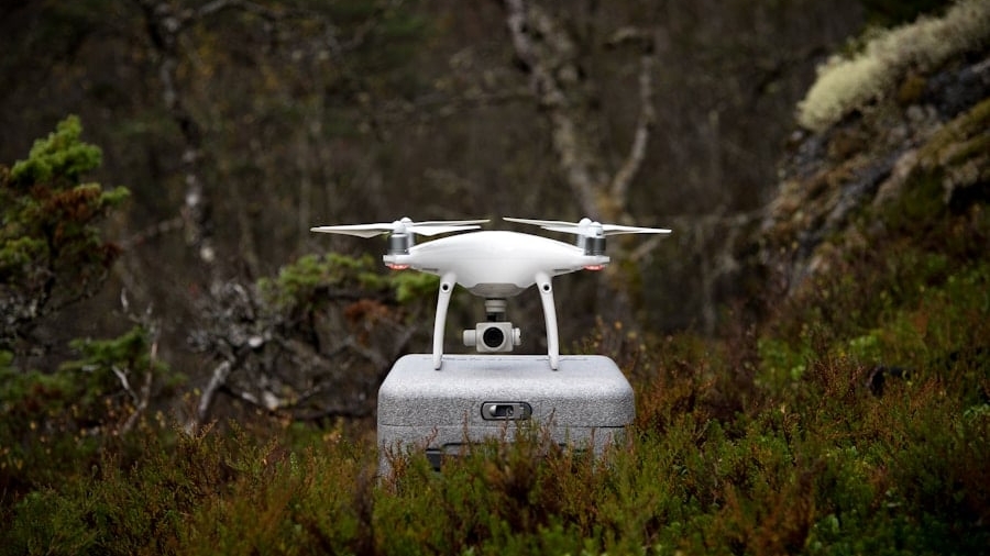Photo "How Drones Are Helping Track and Relocate Endangered Species"