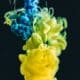 Photo "The Future of Synthetic Biology in Manufacturing Bio-Based Plastics"